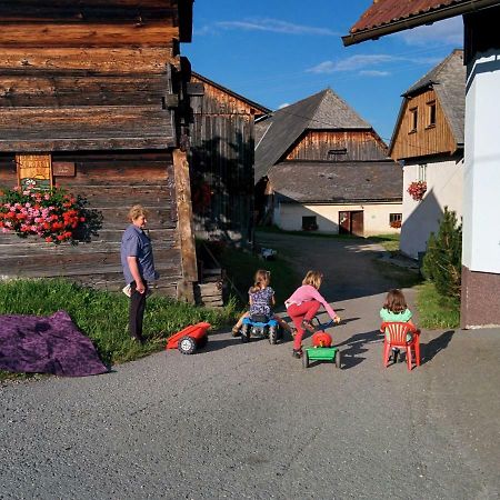 Rettlhof Villa Sankt Peter am Kammersberg Kültér fotó