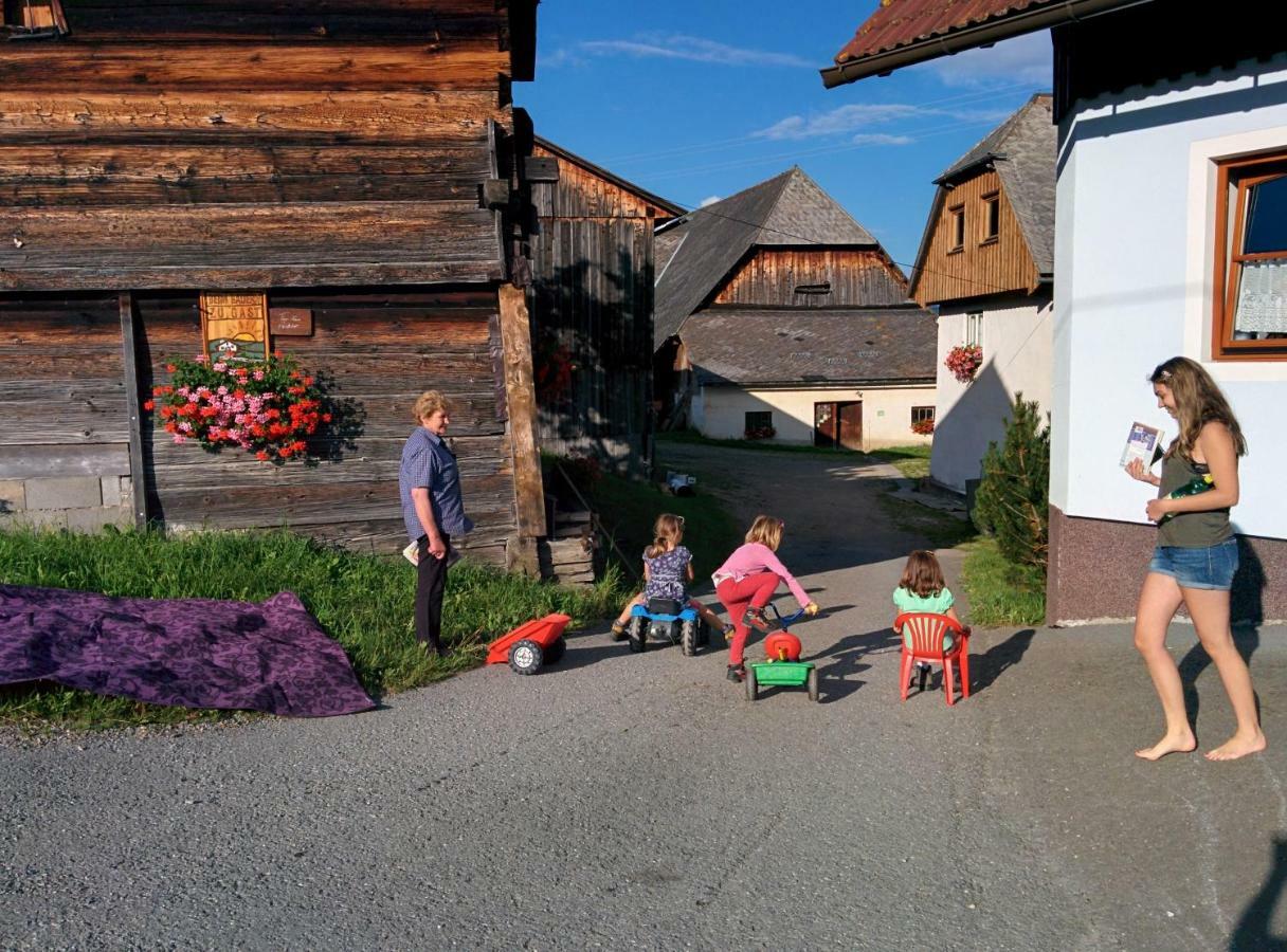Rettlhof Villa Sankt Peter am Kammersberg Kültér fotó